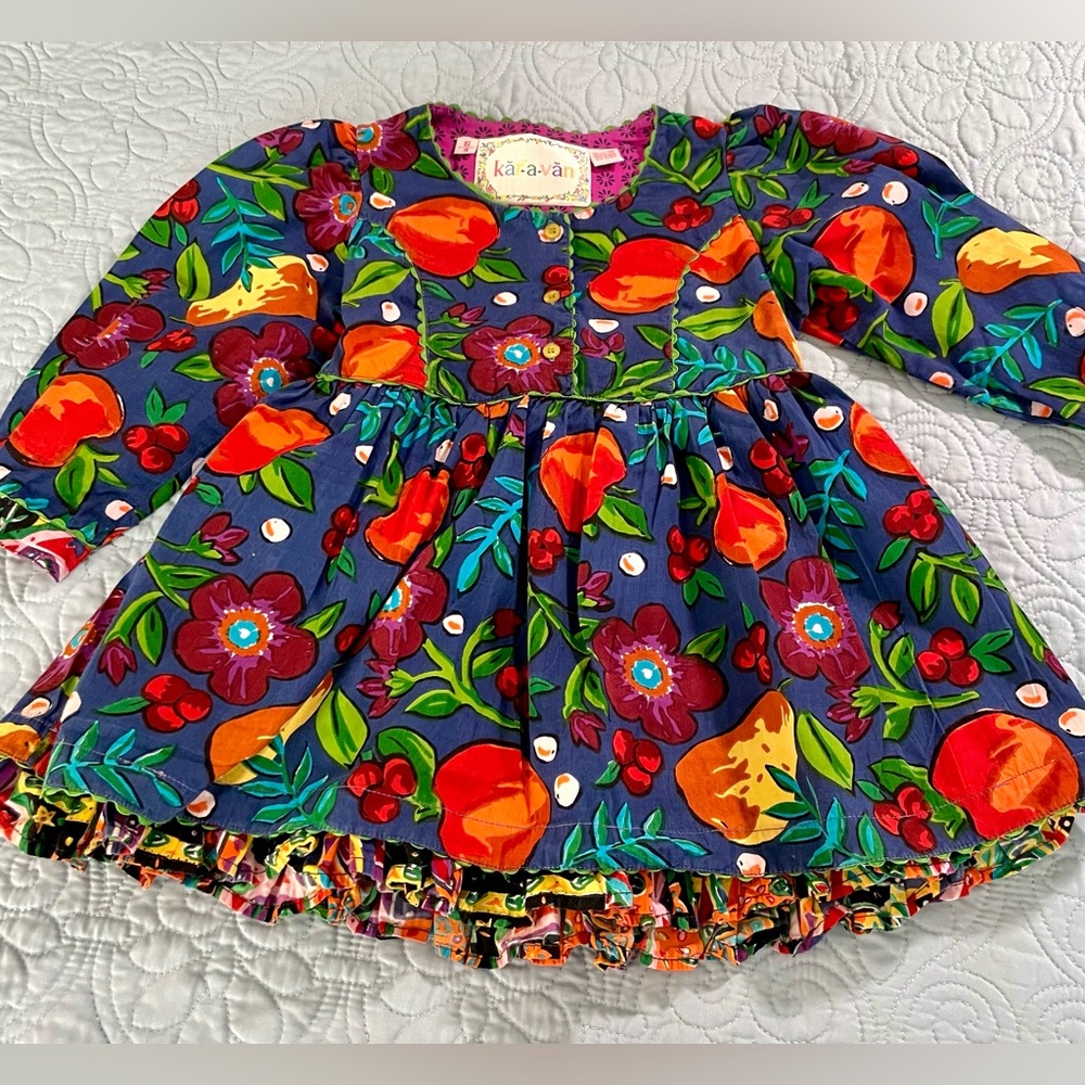 Kar-a-van little girl’s blue flowers and fruit dress. Size 4.